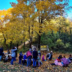 herbstwaldatelier